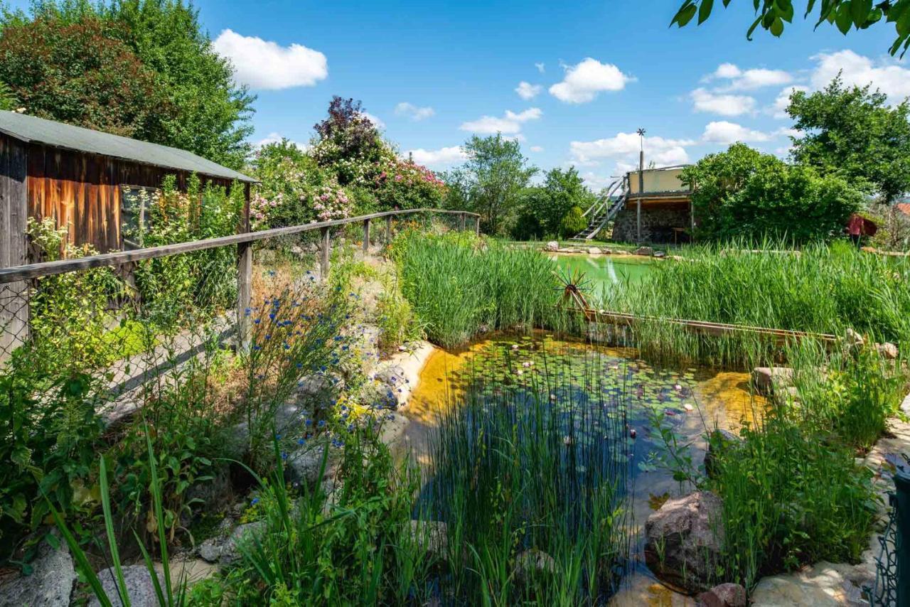 Landhotel Gut Wildberg Meißen المظهر الخارجي الصورة