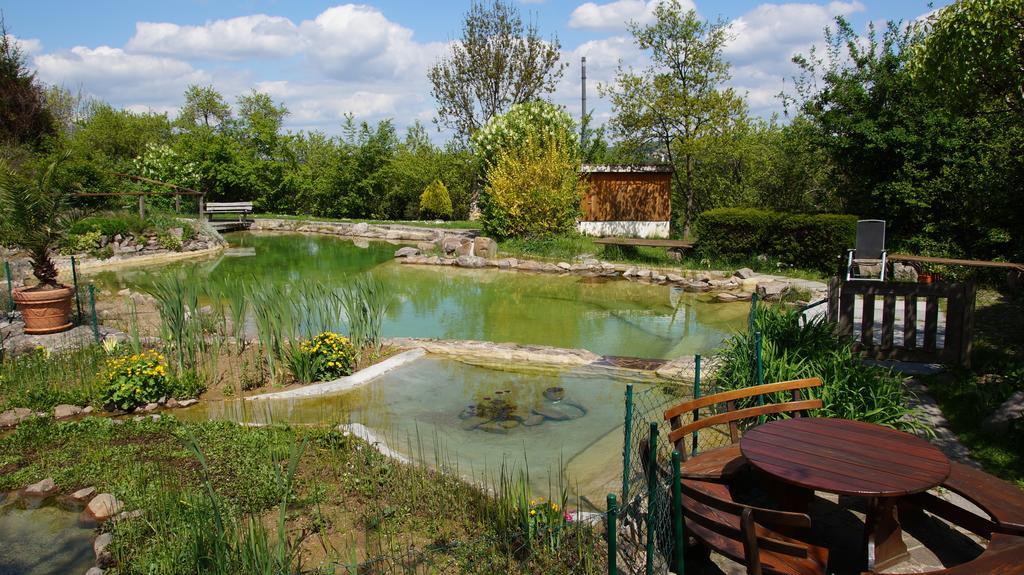 Landhotel Gut Wildberg Meißen المظهر الخارجي الصورة