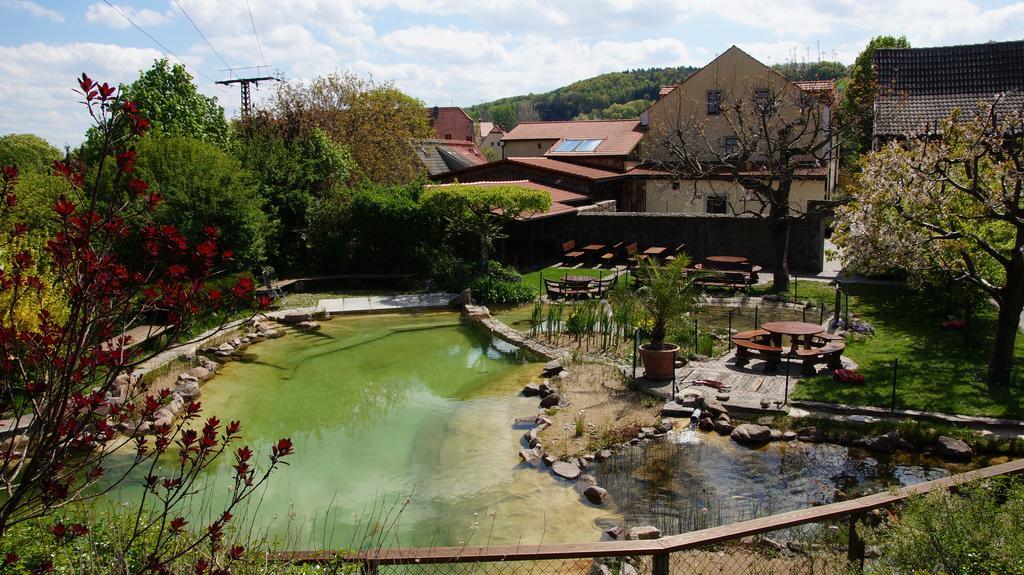 Landhotel Gut Wildberg Meißen المظهر الخارجي الصورة